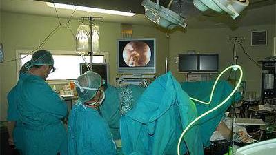 Medicina es la titulación más demandada