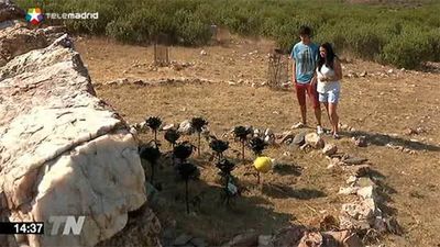 El incendio de Guadalajara: 10 años del desastre y la tragedia humana