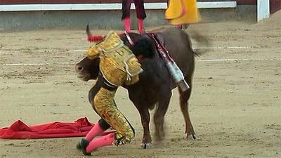 Lorenzo Sánchez, vuelta al ruedo y cornada en su debut en Las Ventas