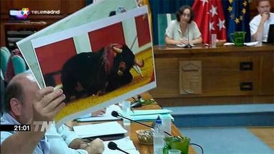 San Lorenzo del Escorial rechaza una moción antitaurina