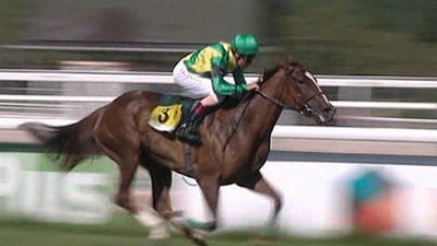 Las carreras de caballos volverán al recinto madrileño el próximo 20 de septiembre