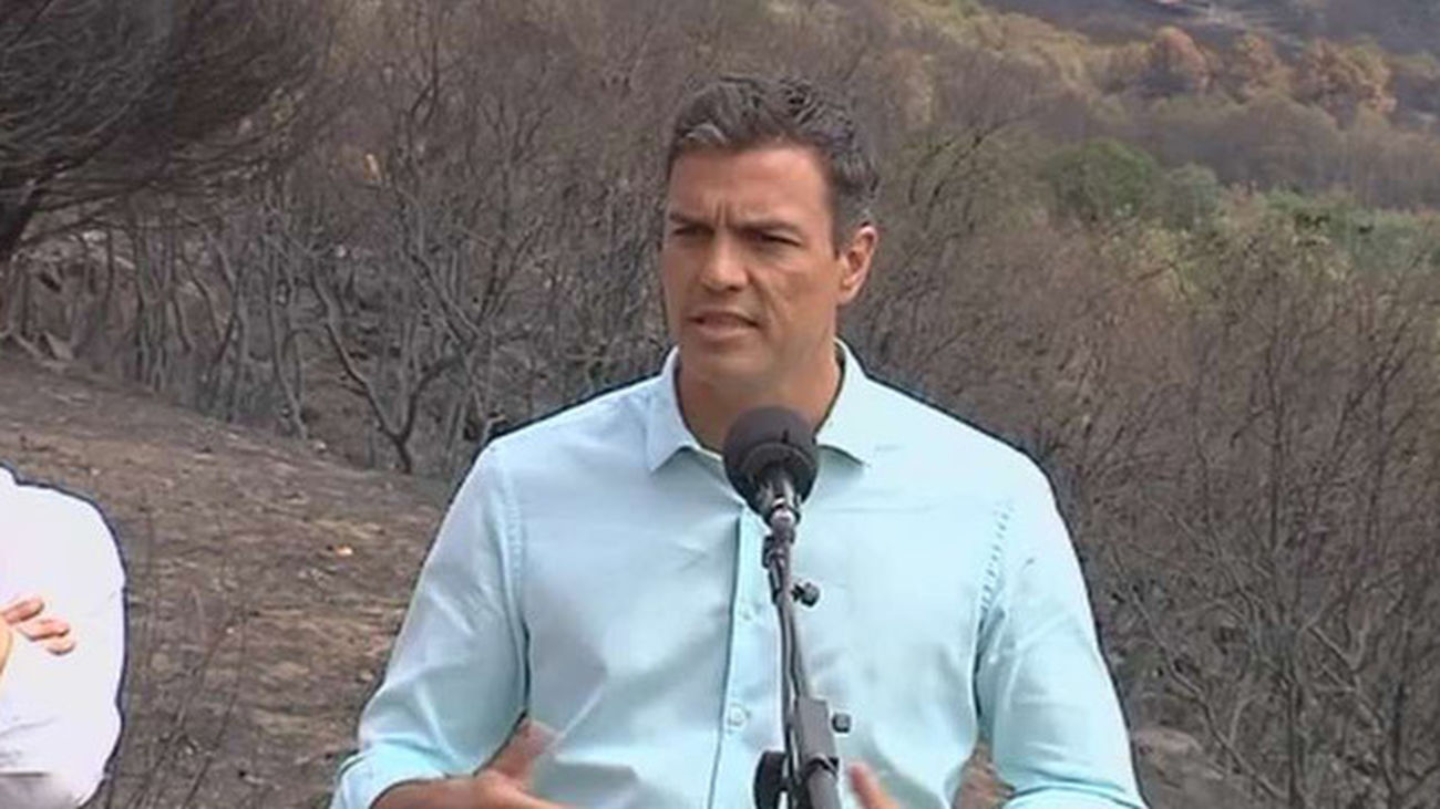 Pedro Sánchez califica de "inverosímiles" las "excusas" de Fernández Díaz