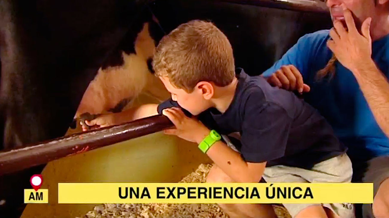 Vacaciones activas para los niños