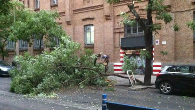 Varios heridos y numerosos árboles y ramas caídos en Madrid por la tormenta