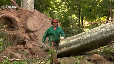 Aranjuez inicia la elaboración del informe para pedir la declaración de zona catastrófica