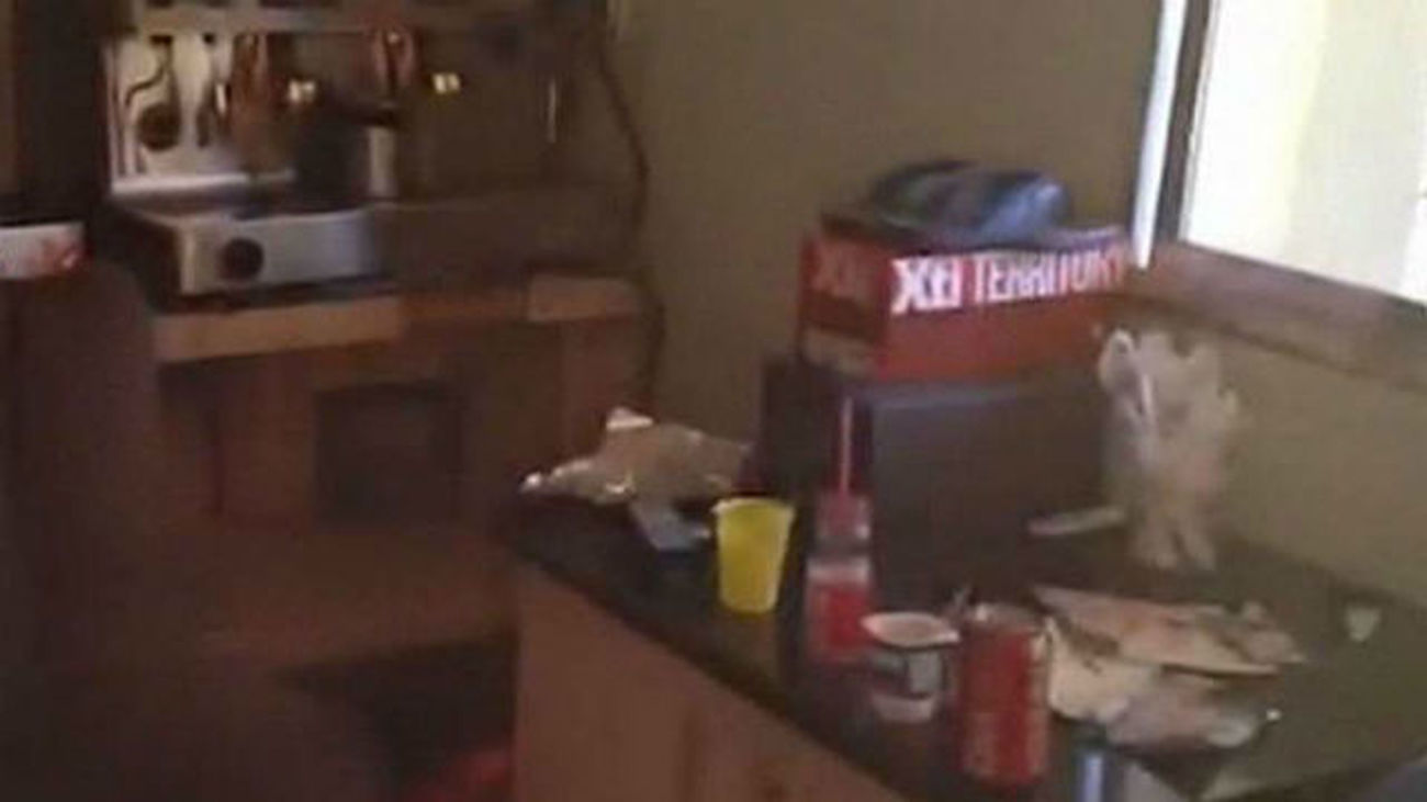 Dos detenidos por vender drogas en una tienda de chucherías en la Cañada Real