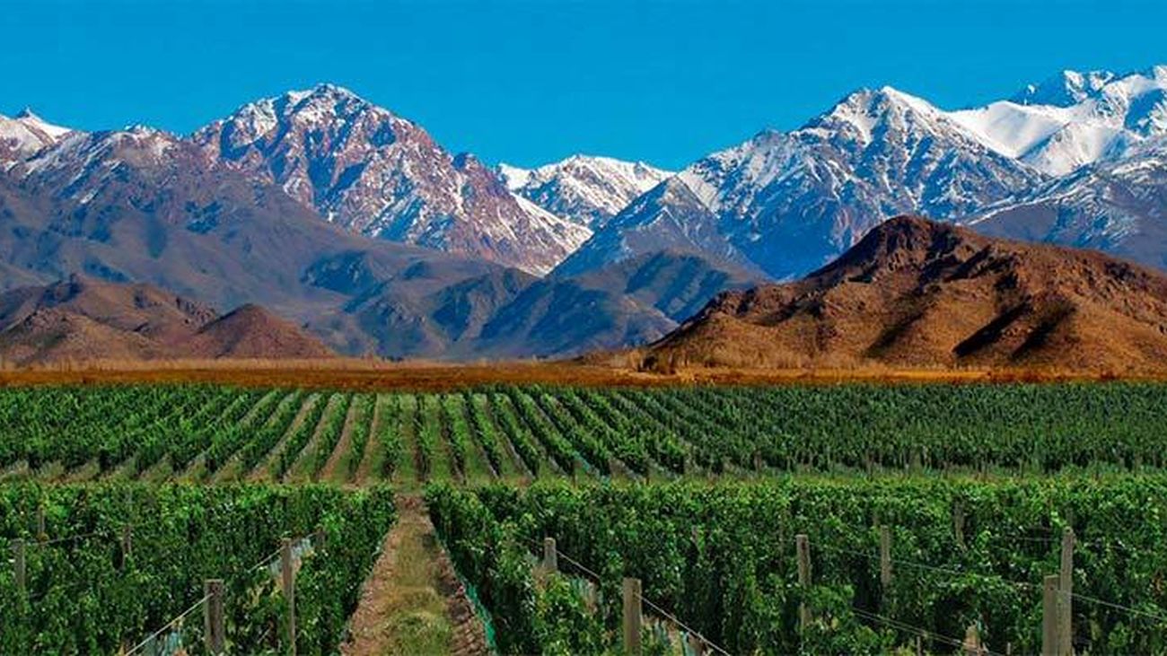 Mendoza, la cuna del vino argentino