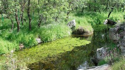 Navalagamella: La ruta de los molinos a orillas del río Perales