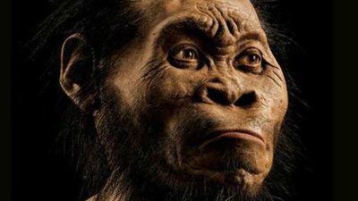 Científicos descubren en África un nuevo ancestro humano, el Homo Nadeli