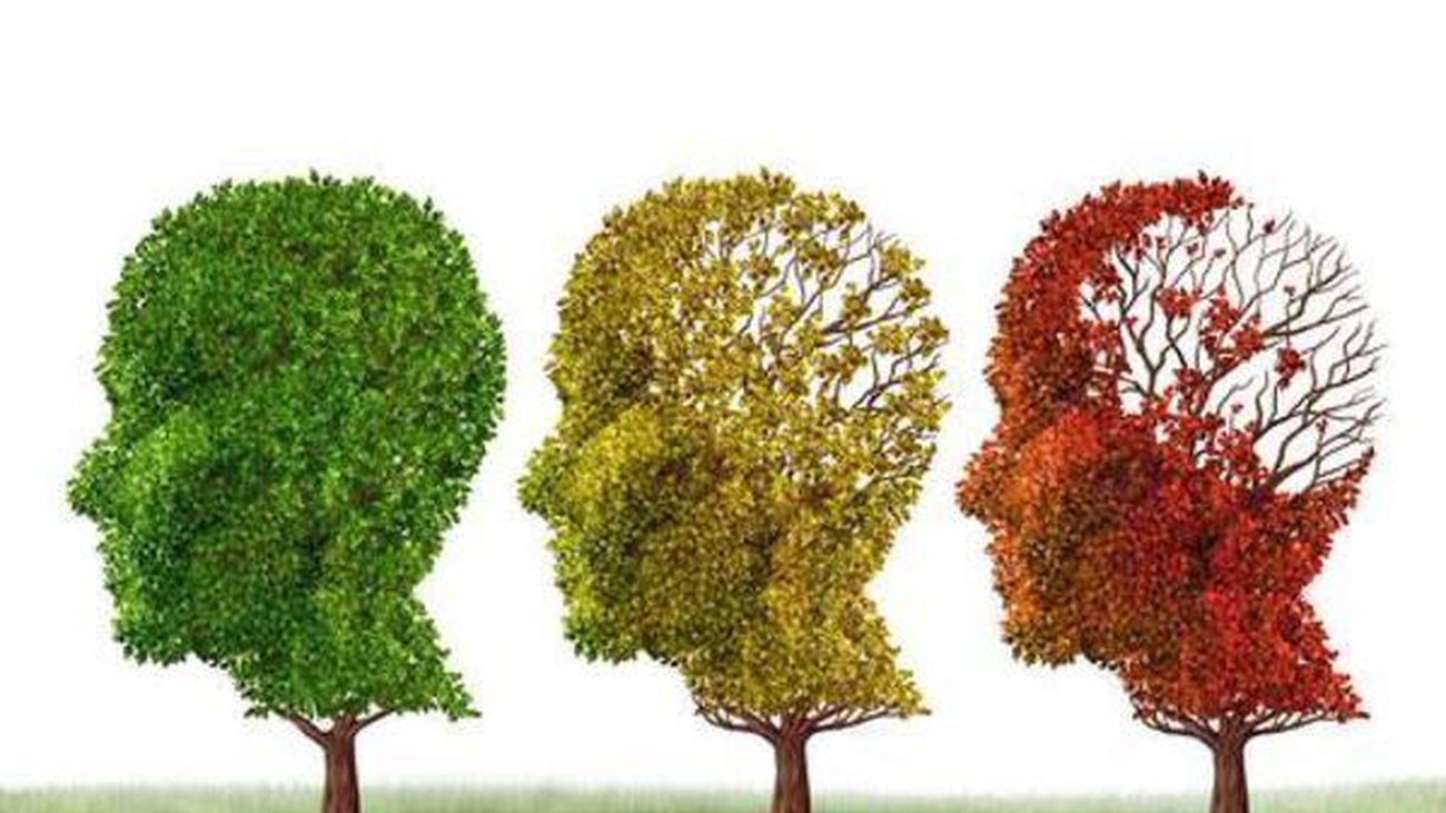 Una terapia experimental logra reducir una proteína vinculada al alzheimer