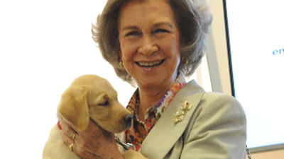 La ONCE ha entregado en 25 años más de 2.500 perros guía