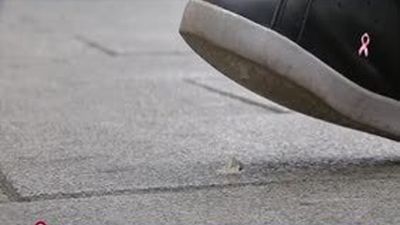 Ser maleducado, ahora sale caro