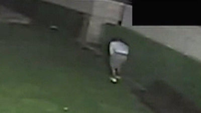 Detenido un joven que fingía ser empresario tras robar en chalés de Madrid