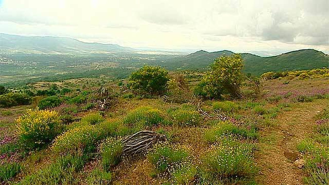 Horcajuelo de la Sierra: Uno de los cinco municipios de la Reserva de la Biosfera