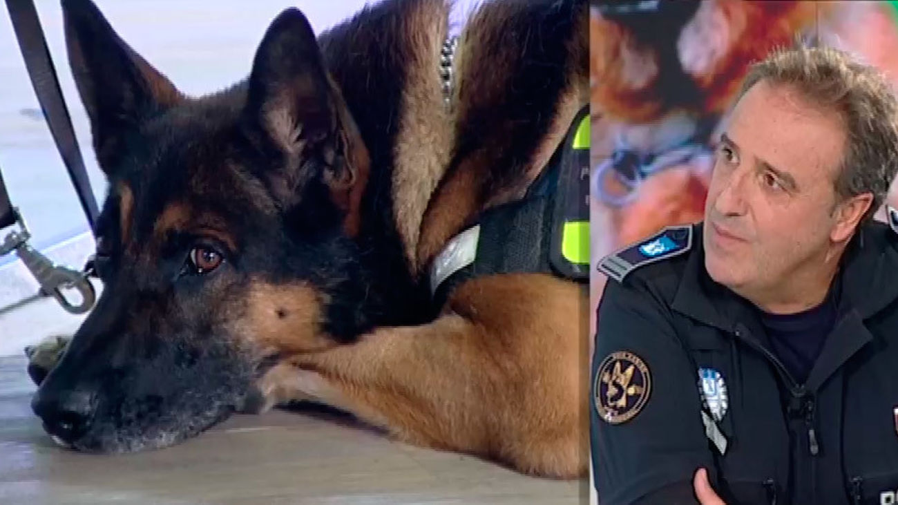 La historia de Nick y Rafael, dos agentes de policía al servicio de la ley