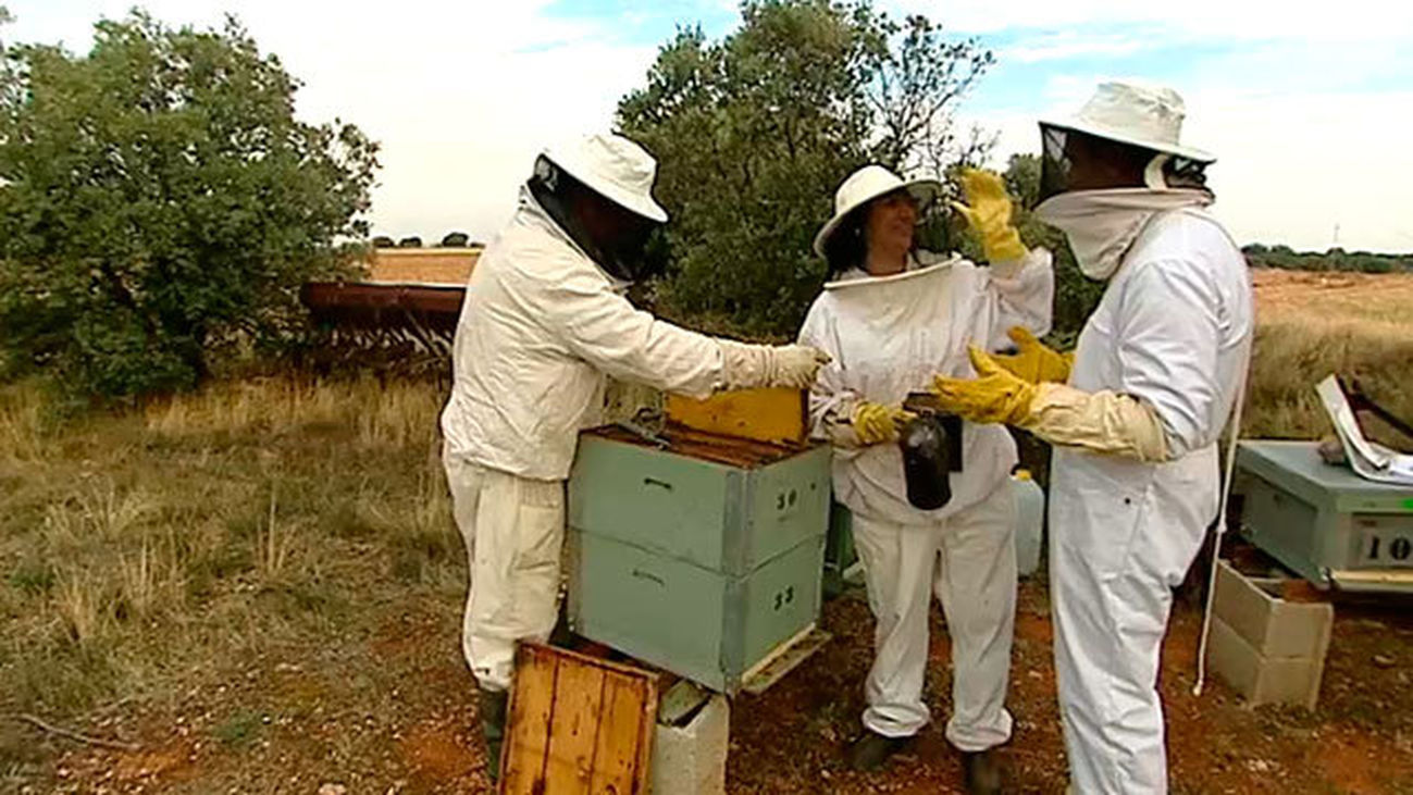 Los Santos de la Humosa: Entre miel y vino