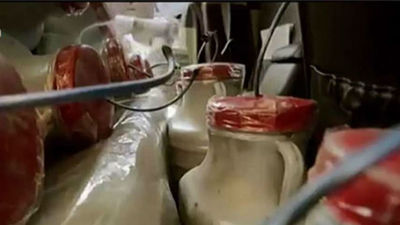 España tiene un "protocolo" ante un posible ataque con armas químicas o biológicas