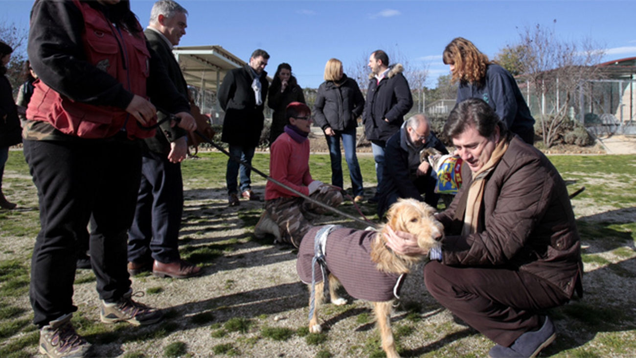 La Comunidad abre sus centros de atención de animales a los grupos de la Asamblea