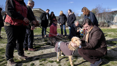 La Comunidad abre sus centros de atención de animales a los grupos de la Asamblea