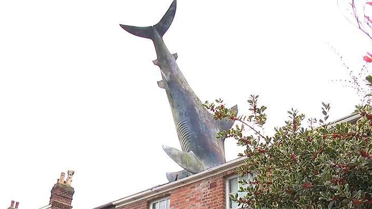 Un tiburón en el tejado