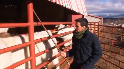 Los jóvenes emprendedores ven futuro en el campo