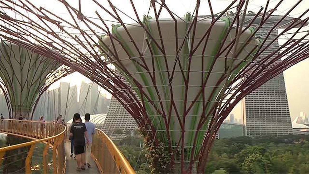 Los jardines futuristas de Gardens by the Bay