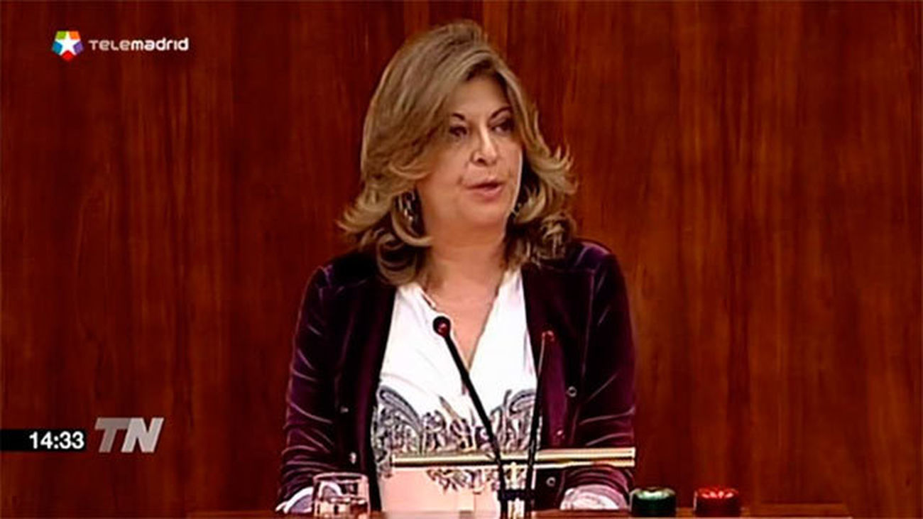 La Asamblea rechaza las enmiendas a la totalidad a los presupuestos