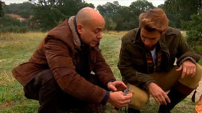 Setas capuchina y de pie azul en El Pardo