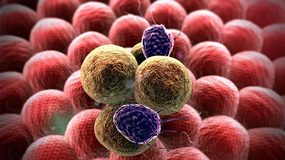 La inmunoterapia abre la puerta a una vacuna universal contra el cáncer