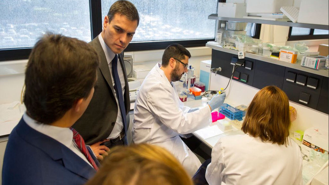 Sánchez pide el voto "para ganar al PP" y "reconstruir el Estado del bienestar"