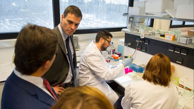 Sánchez pide el voto "para ganar al PP" y "reconstruir el Estado del bienestar"