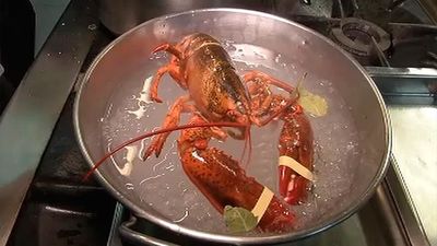 Cómo elegir y cocer correctamente el marisco