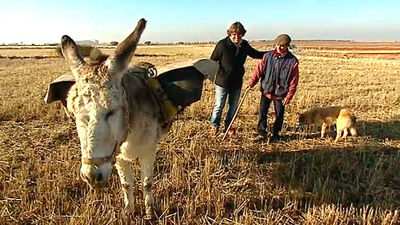 Valdilecha: Eugenio, uno de los pastores más jóvenes de Madrid