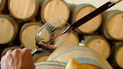 Valdilecha: Vino madrileño con denominación de origen