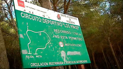 Valdilecha: Un paseo por el Pinar