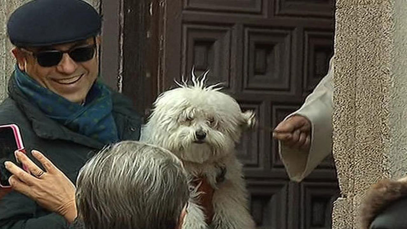 Fiestas de San Antón