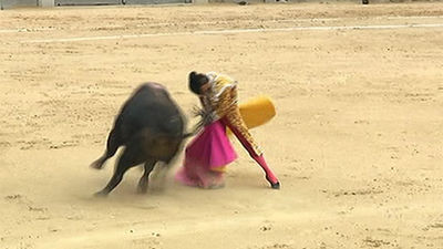 El Ayuntamiento de Córdoba cierra la puerta a la subvención a los toros