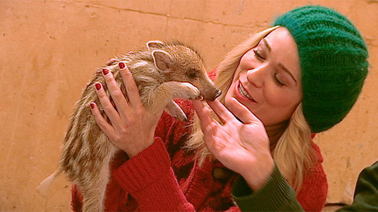 Majadahonda: GREFA, una ONG dedicada a la rehabilitación de la fauna autóctona