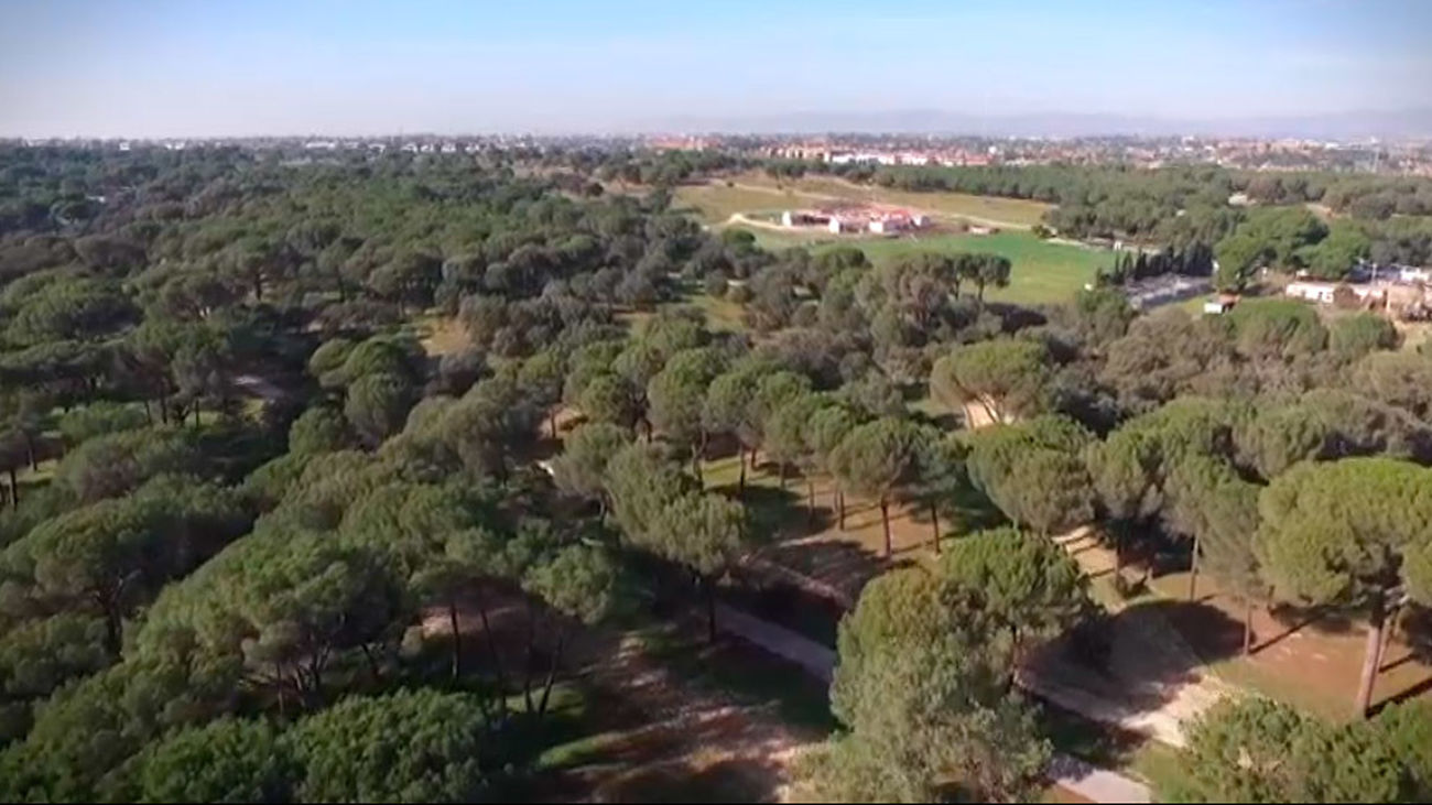 Majadahonda: Ruta por el monte del Pilar