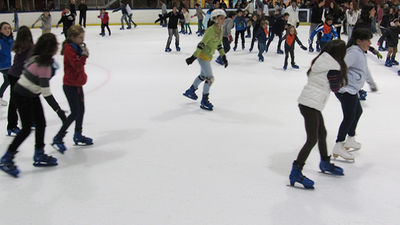 Majadahonda: La nevera, pista de hielo
