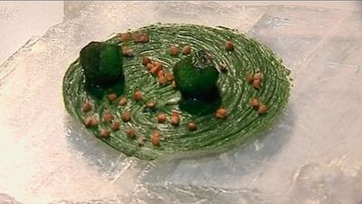 La comida del futuro: post-vanguardia gastronómica