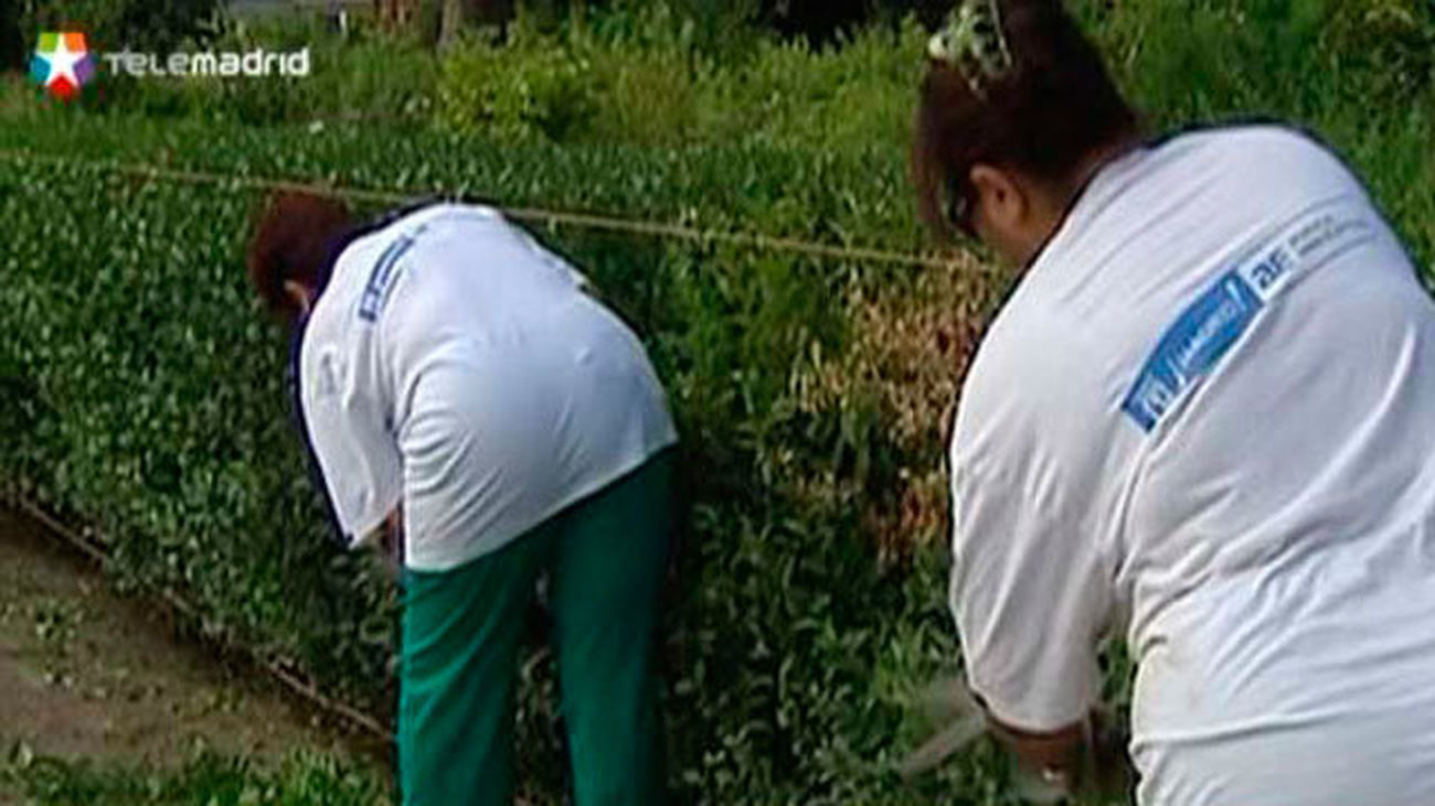 El Gobierno amplía el Plan Prepara  otros seis meses, hasta febrero de 2017