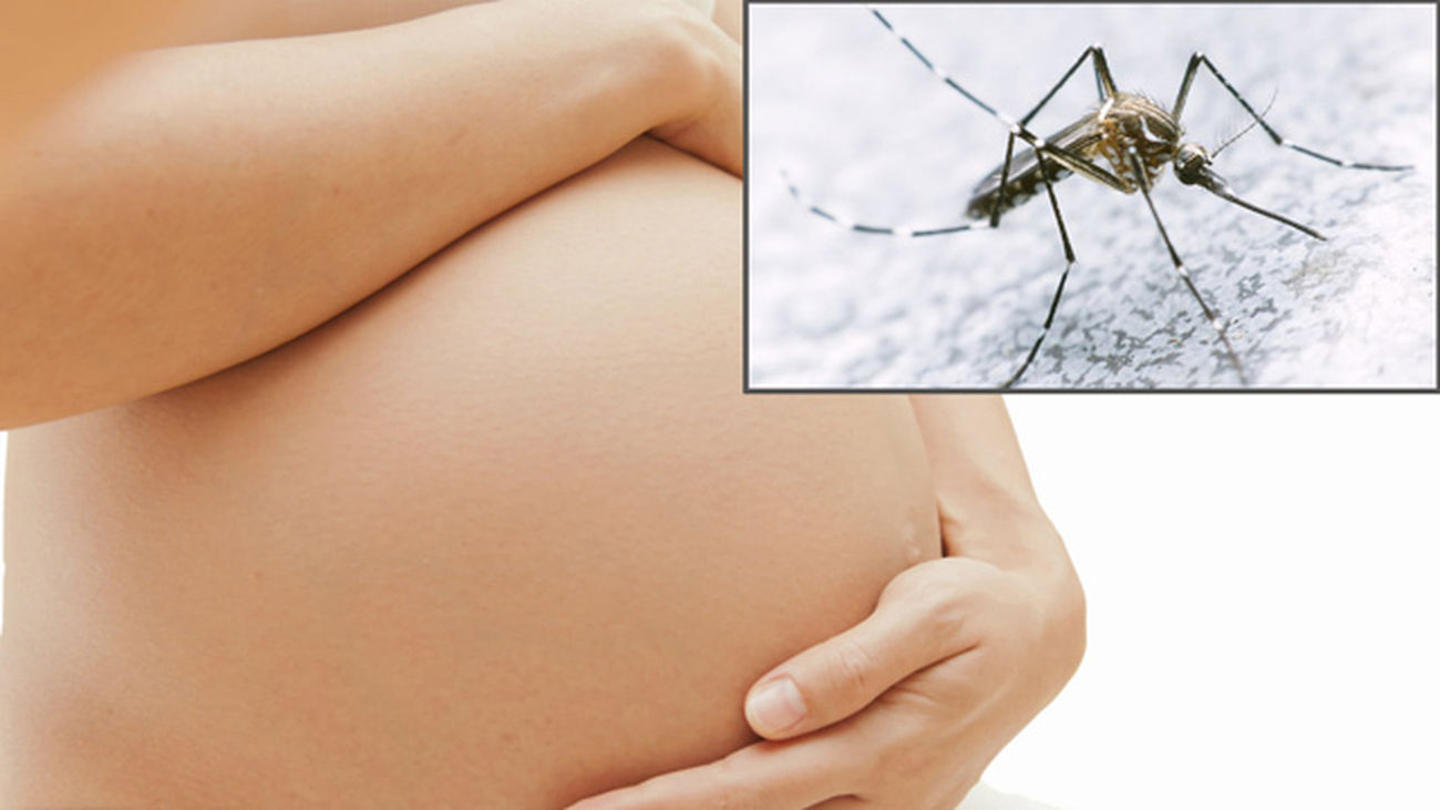 El virus Zika y los embarazos