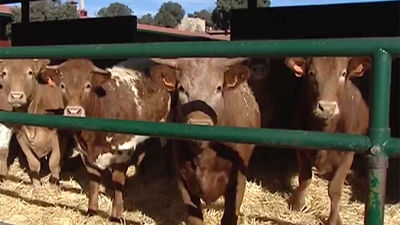 La Comunidad invierte más de 120 millones en ayudas europeas para el desarrollo rural