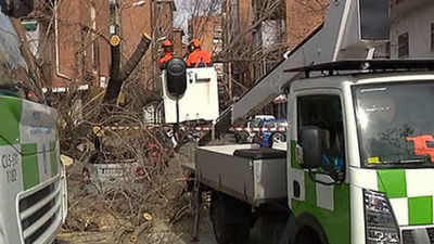Los bomberos realizan 38 salidas relacionadas con los fuertes vientos en Madrid
