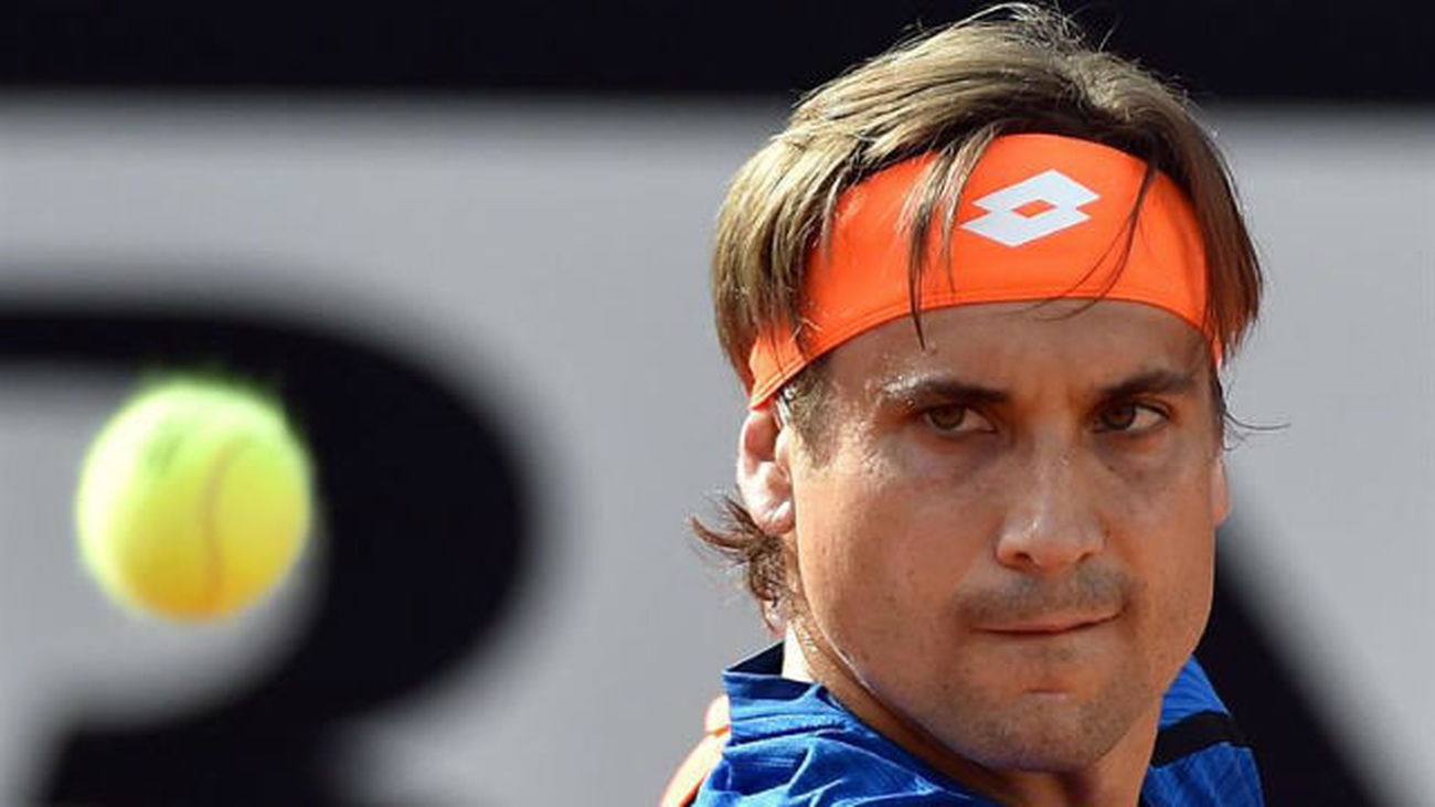 David Ferrer