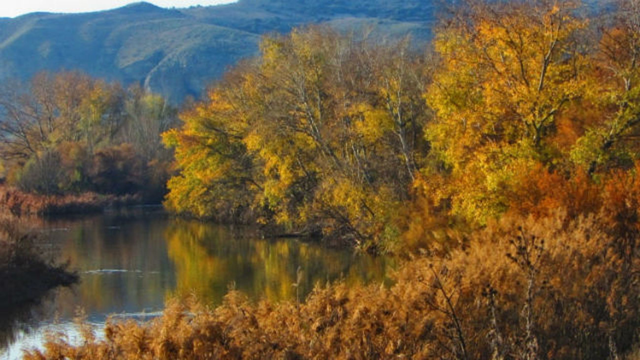 Camino de Cervantes afronta una de sus últimas etapas con 3.800 participantes