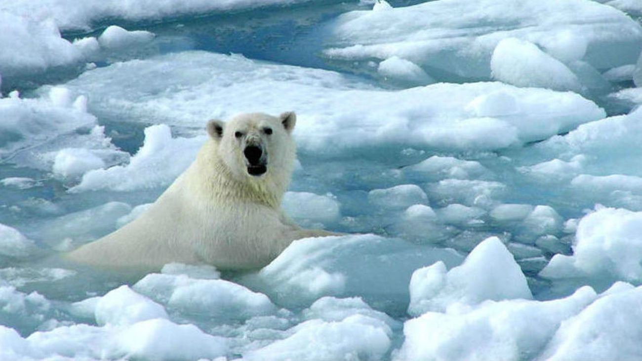 El cambio climático costará cinco veces más de lo previsto hasta 2050