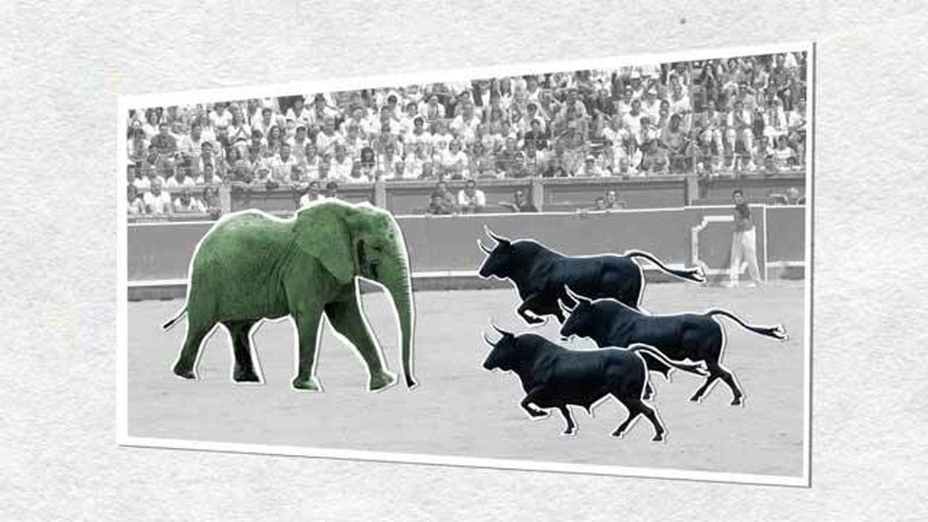 Un elefante llamado Pizarro