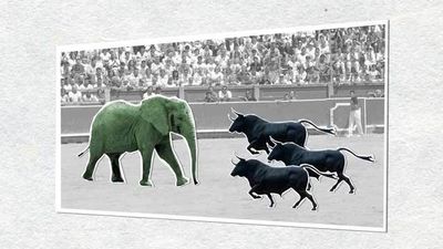 Un elefante llamado Pizarro